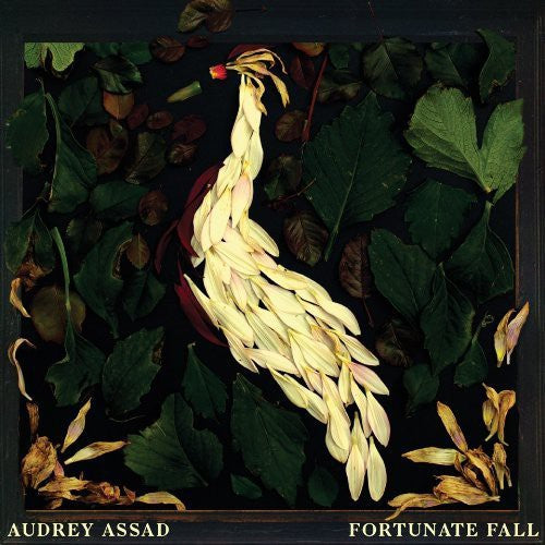 Assad, Audrey: Fortunate Fall