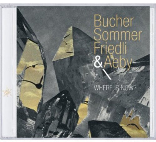 Bucher, Michael / Sommer, Patrick / Friedli, Tobias: Where Is Now