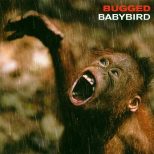 Babybird: Bugged