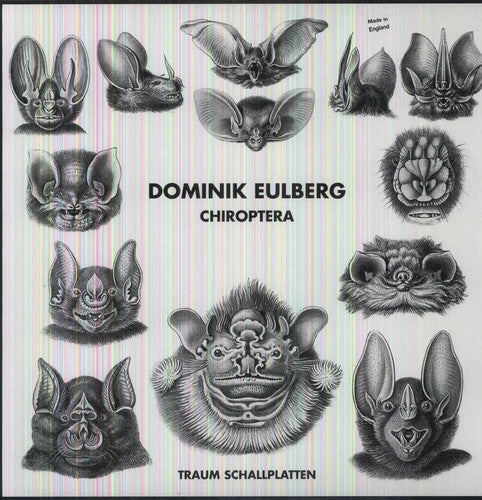 Eulberg, Dominik: Chiroptera