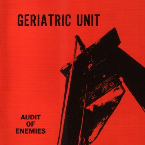 Geriatric Unit: Audit of Enemies