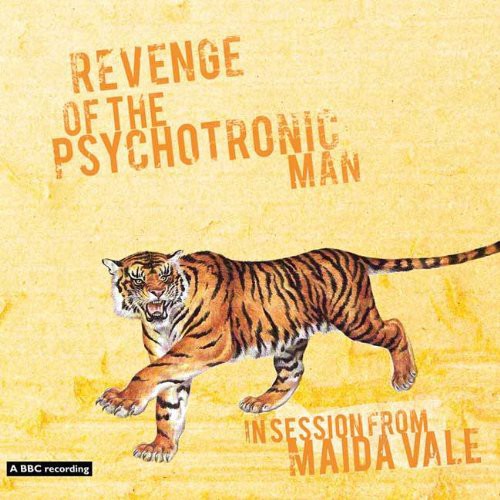 Revenge of the Psychotronic Man: In Session from Maida Vale