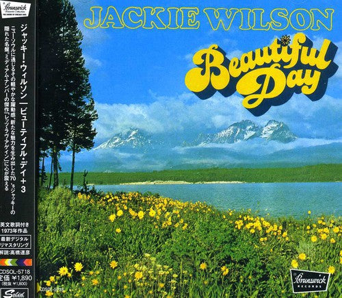 Wilson, Jackie: Beautiful Day