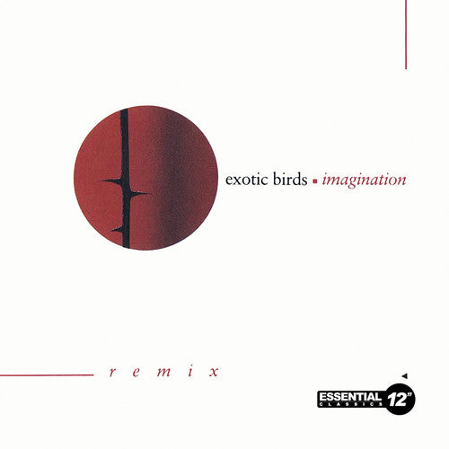 Exotic Birds: Imagination