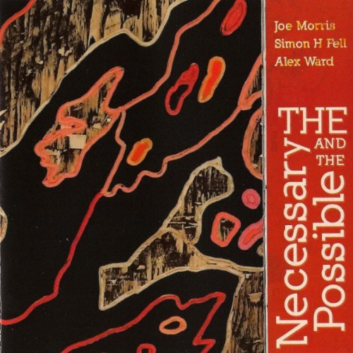 Morris, Joe / Fell, Simon / Ward, Alex: The Necessary and The Possible