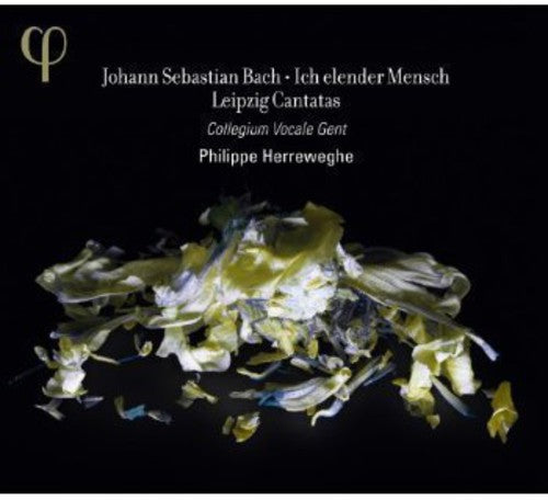 Bach / Collegium Vocale Gent / Herreweghe: Ich Elender Mensch: Leipzig Cantatas