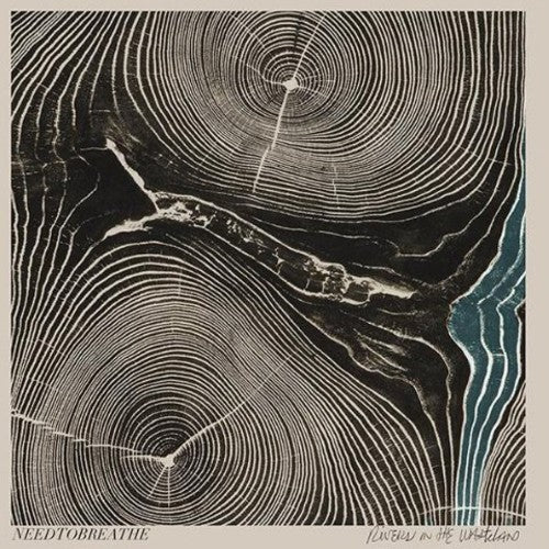 Needtobreathe: Rivers in the Wasteland