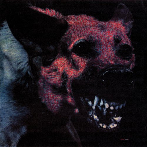 Protomartyr: Under Color of Official Right