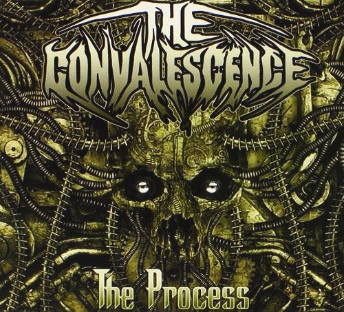 Convalescence: Convalescence : The Process