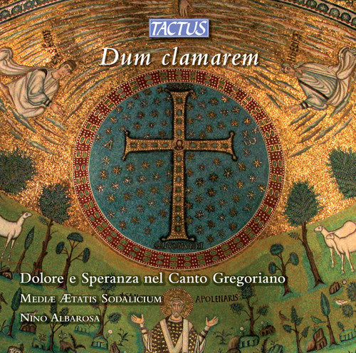 Sorrow & Hope in Gregorian Chant / Various: Sorrow & Hope in Gregorian Chant / Various