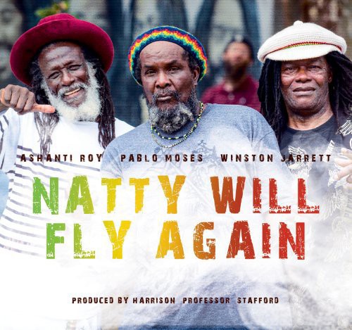 Natty Will Fly Again / Various: Natty Will Fly Again / Various