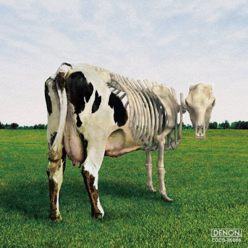 Morgaua Quartet: Atom Heart Mother Is on the Edge