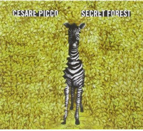 Picco: Secret Forest