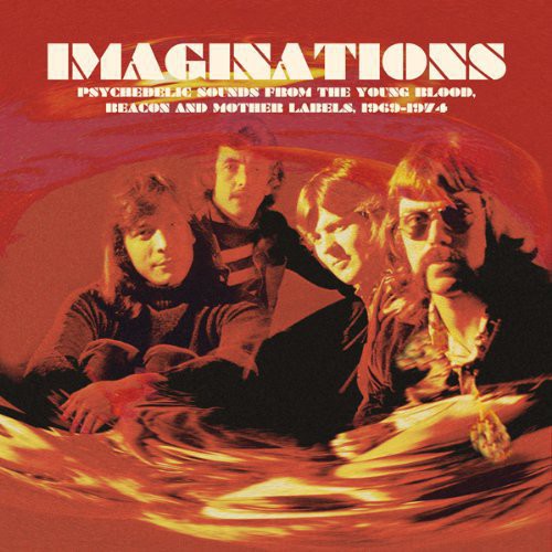 Imaginations: Psychedelic Sounds From the / Var: Imaginations: Psychedelic Sounds from the / Various