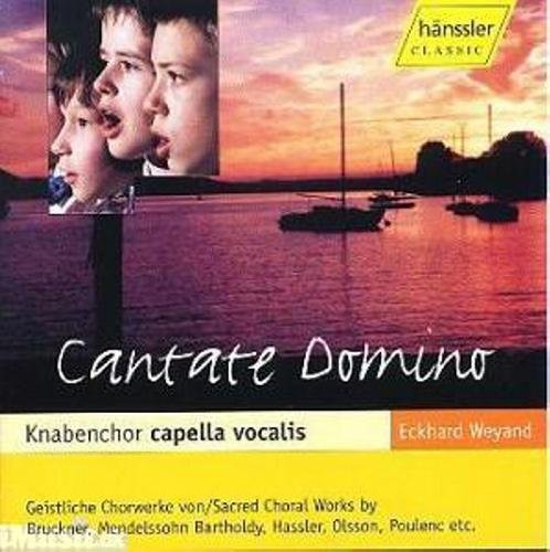 Serafini / Il Viaggio Musicale: Cantate Domino