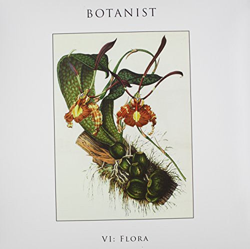 Botanist: VI: Flora