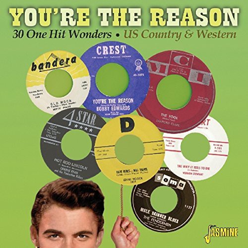 You're the Reason: 30 One Hit Wonders / Various: You're the Reason: 30 One Hit Wonders / Various