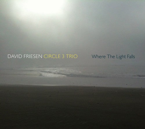 Friesen, David / Circle 3 Trio: Where the Light Falls