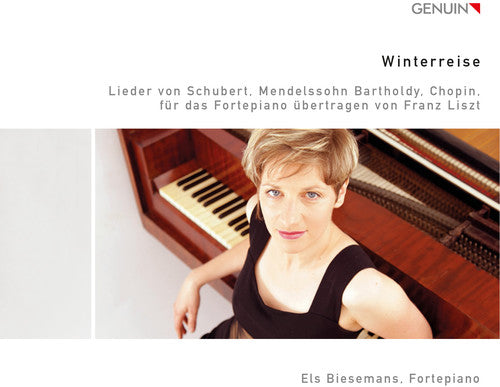 Liszt / Schubert / Chopin / Biesemans: Winterreise