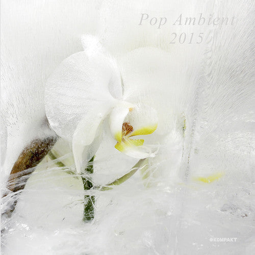 Pop Ambient 2015 / Various: Pop Ambient 2015 / Various