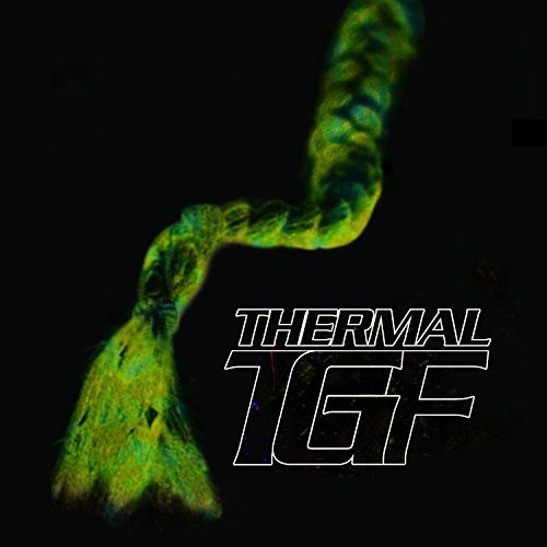 Teengirl Fantasy: Thermal