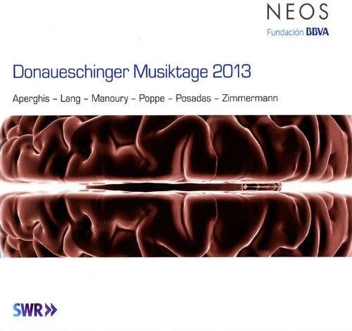 Donaueschinger Musiktage 2013 / Various: Donaueschinger Musiktage 2013 / Various