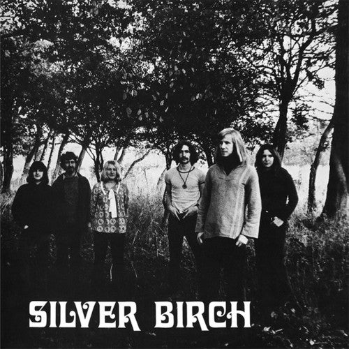 Silver Birch: Silver Birch