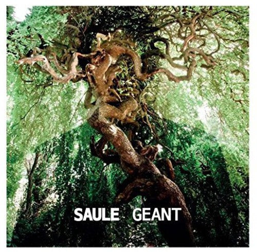 Saule: Geant