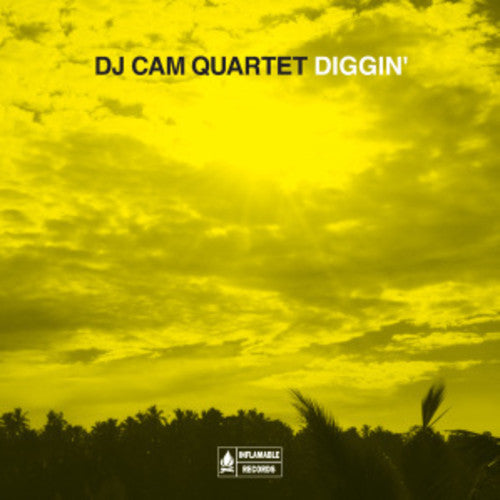 DJ Cam: Diggin'