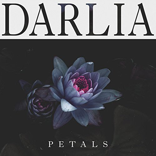 Darlia: Petals