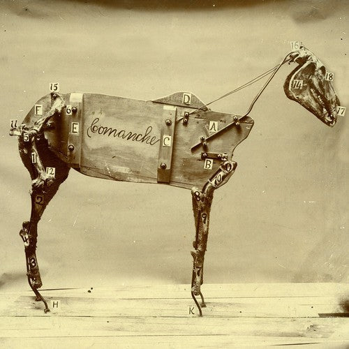 Stokes, Chadwick: Horse Comanche