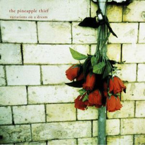The Pineapple Thief: Variations on a Dream