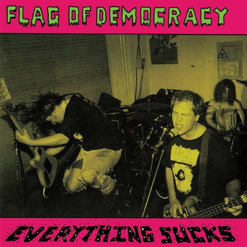 Flag of Democracy: Everything Sucks