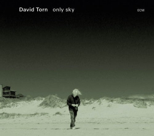 Torn, David: Only Sky