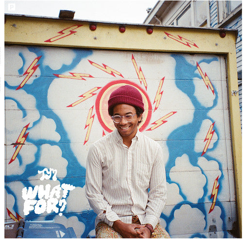 Toro y Moi: What for