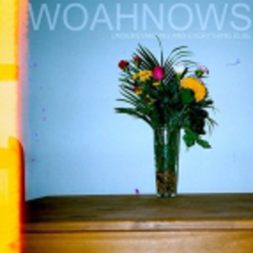 Woahnows: Understanding & Everything Else