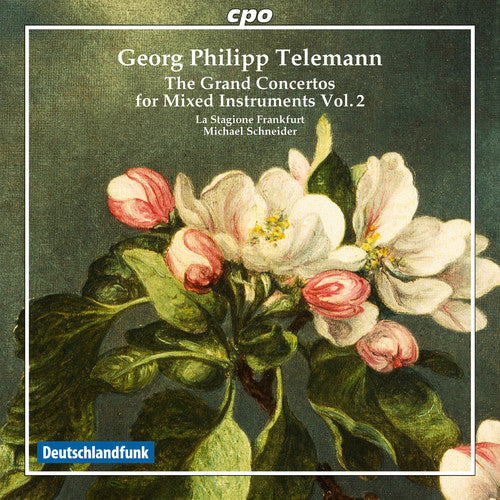 Telemann / La Stagione Frankfurt / Schneider: Grand Concertos for Mixed Instruments 2