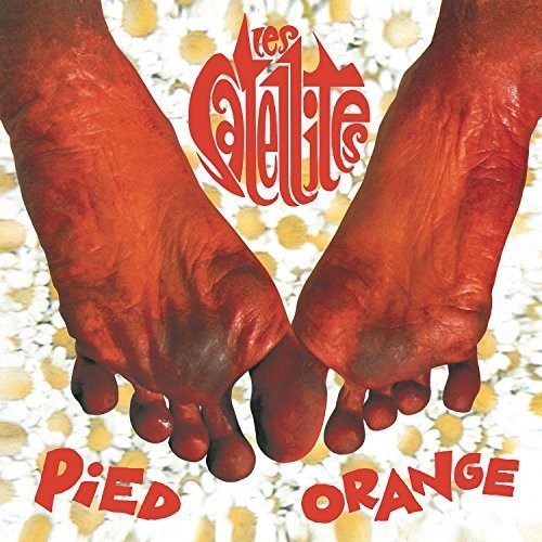 Satellites: Pied Orange