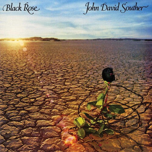 Souther, J.D.: Black Rose