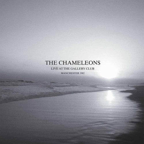 Chameleons: Live at the Gallery Club