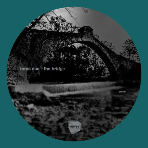 Toms Due: The Bridge