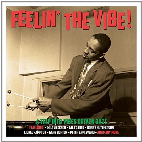 Feelin' the Vibe / Various: Feelin' the Vibe