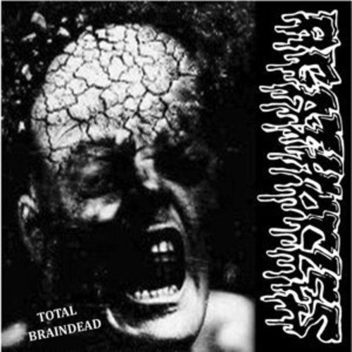 Disorder / Agathocles: Disorder