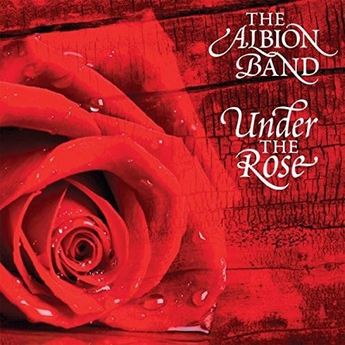 Albion Band: Under the Rose