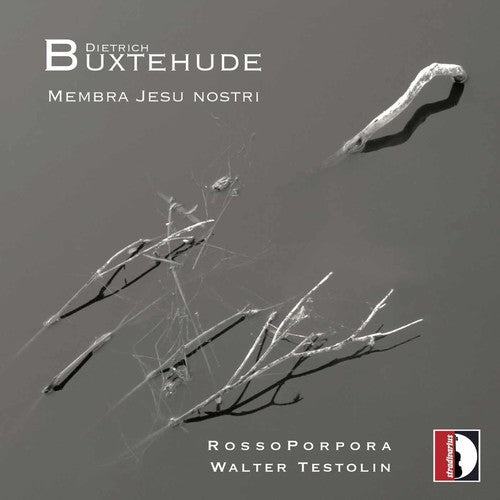 Buxtehude / Rossoporpora / Testolin: Membra Jesu Nostri