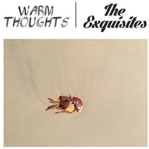 Warm Thoughts / Exquisites: Split