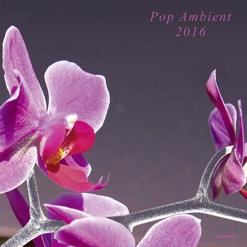 Pop Ambient 2016 / Various: Pop Ambient 2016