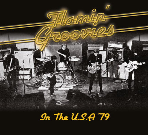 Flamin' Groovies: In the U.S.A '79