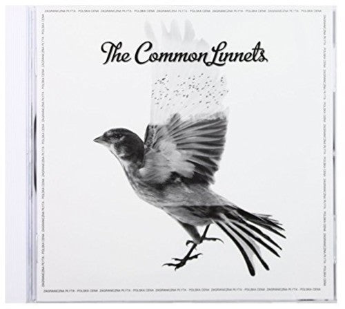 Common Linnets: Common Linnets