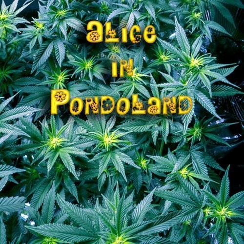 Alice in Pondoland / Various: Alice In Pondoland / Various